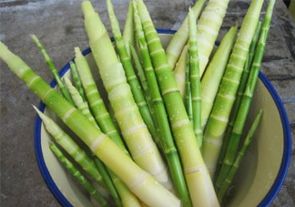 過(guò)敏體質(zhì)可以吃春筍嗎？皮膚過(guò)敏能吃春筍嗎？