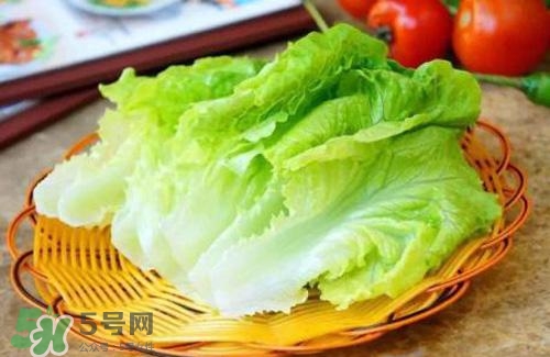 生菜可以放冰箱嗎？生菜可以放冰箱多久？