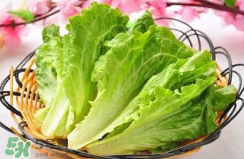 生菜可以放冰箱嗎？生菜可以放冰箱多久？