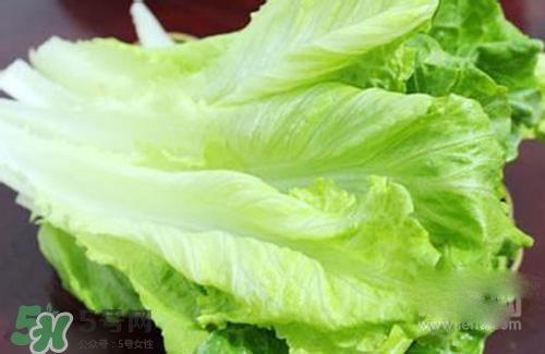 生菜可以放冰箱嗎？生菜可以放冰箱多久？