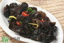 黑木耳是寒性的嗎？黑木耳是涼性還是熱性？