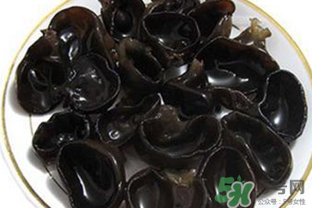 黑木耳熱量高嗎？一盤木耳的熱量是多少？