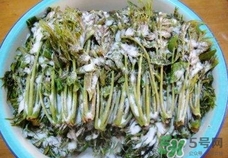 香椿芽怎么腌制好吃?香椿芽的腌制方法 香椿芽怎么腌制好吃?香椿芽的腌制方法
