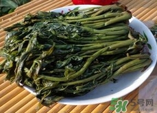 香椿芽怎么腌制好吃?香椿芽的腌制方法 香椿芽怎么腌制好吃?香椿芽的腌制方法