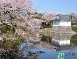 5月份去日本穿什么？五月份去日本穿什么衣服？