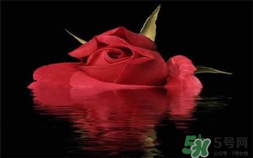 玫瑰水可以做面膜嗎？玫瑰水怎么做面膜？