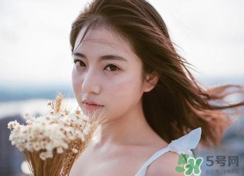 酢漿草怎么讀？酢漿草與三葉草的區(qū)別