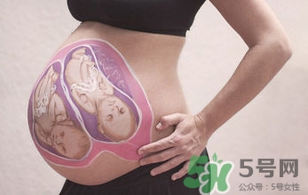 妊娠線看可以看胎兒性別嗎？妊娠線看可以男女嗎？