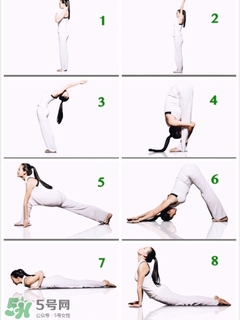 青蛙趴的標準動作圖片 青蛙趴的正確圖解 青蛙趴的標準動作圖片 青蛙趴的正確圖解