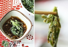 面條菜可以涼拌吃嗎?涼拌面條菜的做法 面條菜可以涼拌吃嗎?涼拌面條菜的做法