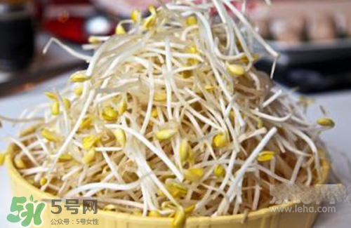 黃豆芽熱量高嗎？吃黃豆芽會長胖嗎？