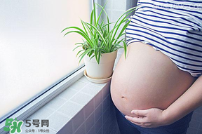 懷孕了體重下降怎么回事?懷孕了體重下降怎么辦? 懷孕了體重下降怎么回事?懷孕了體重下降怎么辦?