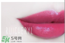 紀(jì)梵希315號口紅圖片 紀(jì)梵希小羊皮315試色