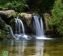 5月份去廬山穿什么？五月份去廬山穿什么衣服？