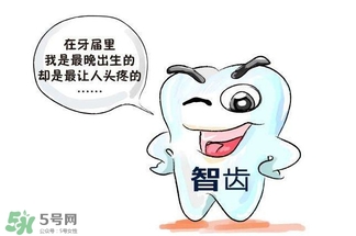 長智齒好嗎？長智齒好不好