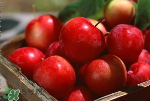 高血壓吃什么藥？高血壓吃什么保健品