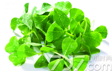 清明節(jié)吃什么食物？清明節(jié)吃什么傳統(tǒng)食物？