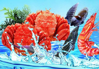 五月份吃什么海鮮？5月份吃什么海鮮？