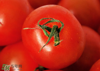 五月份吃什么蔬菜？5月份吃什么蔬菜？