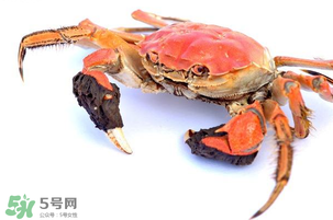 五月份可以吃螃蟹嗎？5月份可以吃螃蟹嗎？
