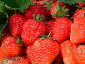 五月份還有草莓嗎？5月份還有草莓嗎？