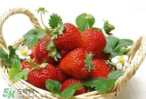 五月份還有草莓嗎？5月份還有草莓嗎？