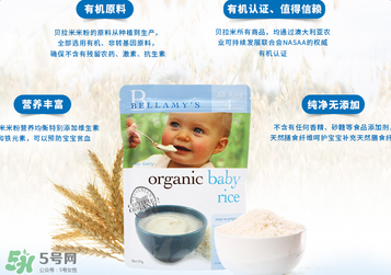 貝拉米米粉含鐵嗎？貝拉米米粉含鐵量