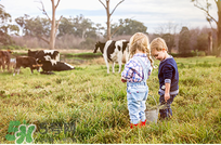 貝拉米有機(jī)米粉怎么樣？貝拉米有機(jī)米粉好不好？