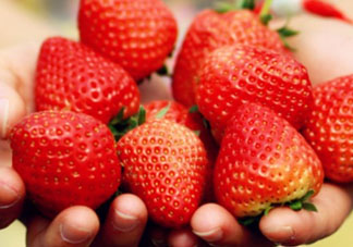 五月份還有草莓嗎？5月份還有草莓嗎？