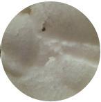 貝拉米米粉成分是什么？貝拉米米粉成分表