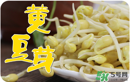 黃豆芽不熟有毒嗎 黃豆芽炒不熟會中毒嗎 黃豆芽不熟有毒嗎 黃豆芽炒不熟會中毒嗎