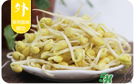 黃豆芽不熟有毒嗎 黃豆芽炒不熟會中毒嗎 黃豆芽不熟有毒嗎 黃豆芽炒不熟會中毒嗎