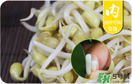 黃豆芽不熟有毒嗎 黃豆芽炒不熟會中毒嗎 黃豆芽不熟有毒嗎 黃豆芽炒不熟會中毒嗎