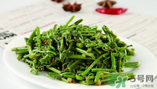 蕨苗能吃嗎？蕨苗可不可以吃？