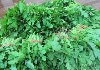 罌粟苗能當菜吃嗎？罌粟苗可以當菜吃嗎？