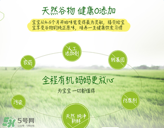 禧貝米粉二段味道怎么樣？禧貝米粉二段味道如何？