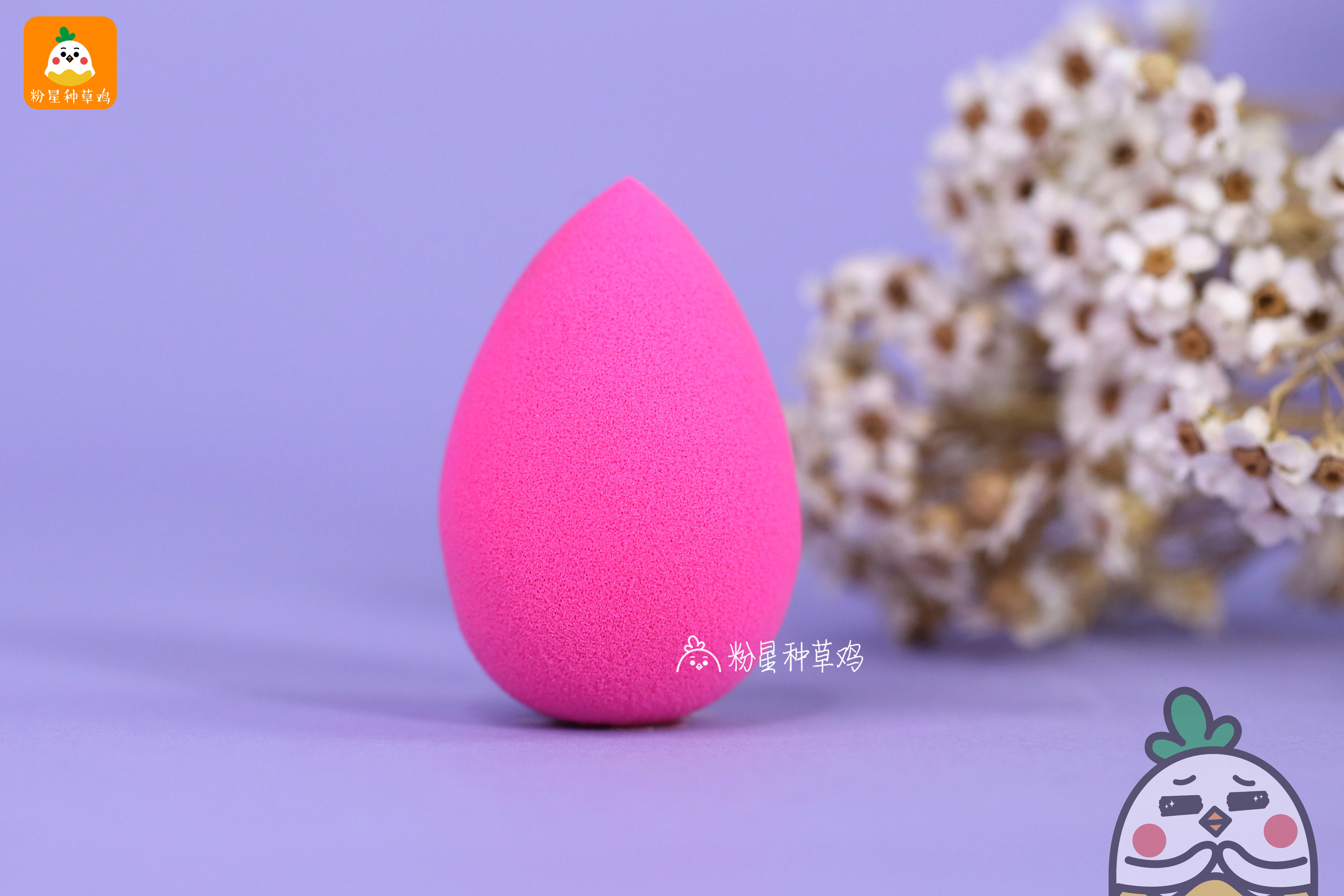 beauty blender美妝蛋和rt美妝蛋哪個好？