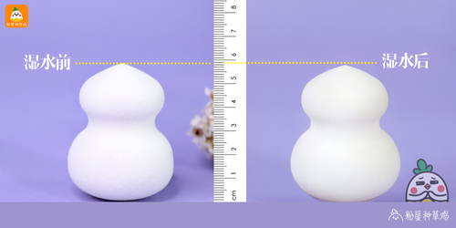 beauty blender美妝蛋和rt美妝蛋哪個好？