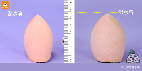 beauty blender美妝蛋和rt美妝蛋哪個好？