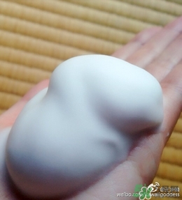 Rafra是什么牌子？是什么檔次？