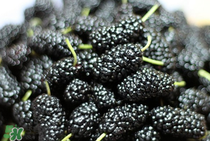 桑葚發(fā)霉了還能吃嗎？桑葚發(fā)霉了還能泡酒嗎？