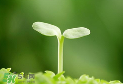 甲醛檢測儀哪個牌子好？哪個牌子的甲醛檢測儀好？