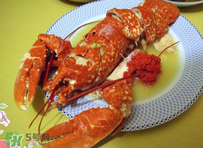 龍蝦多少錢一斤？龍蝦多少錢一斤2017？