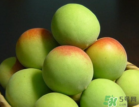 青梅什么時候成熟？青梅幾月份成熟？