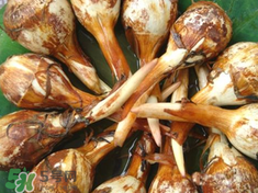 慈姑孕婦能吃嗎？孕婦能吃慈姑嗎？