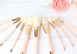 艾諾琪化妝刷哪款好？艾諾琪化妝刷推薦