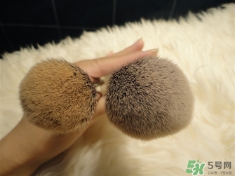 sigma化妝刷哪款好？sigma化妝刷推薦