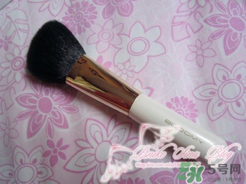 bloomy老爺家化妝刷哪款好？bloomy化妝刷推薦