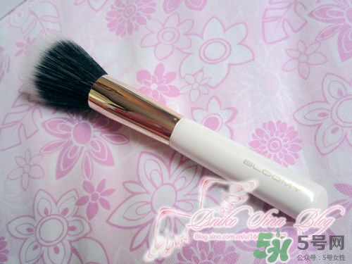 bloomy老爺家化妝刷哪款好？bloomy化妝刷推薦