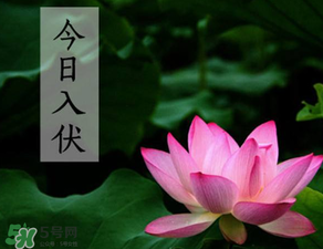 2017年頭伏是哪一天？2017年什么時候入伏？